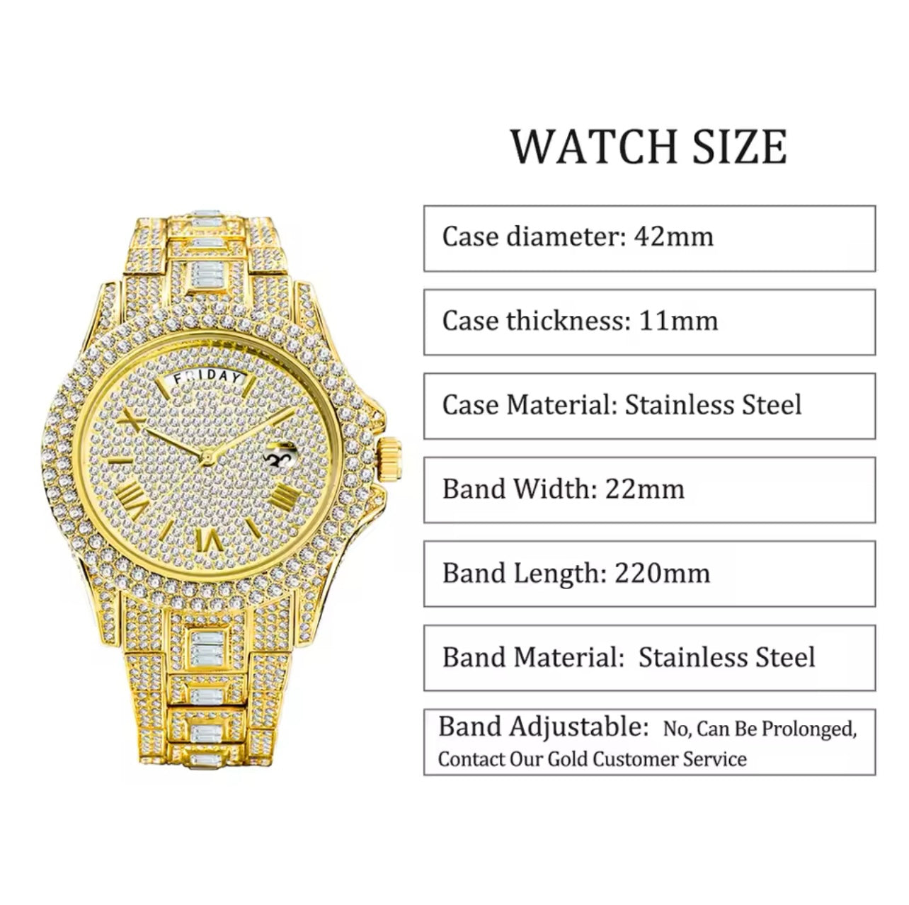 Iced watch