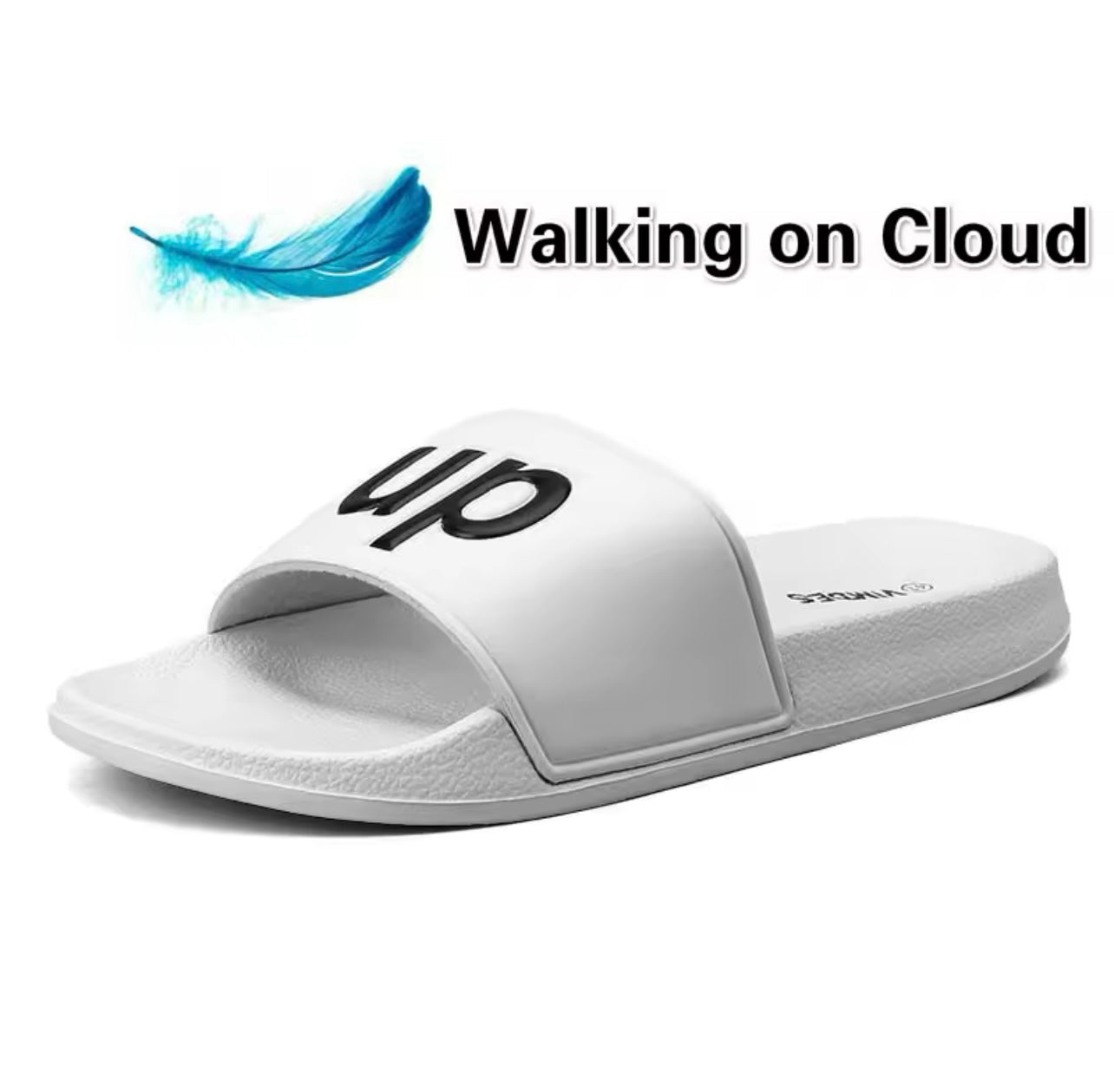 Slipper Shitty